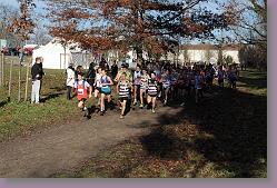 Begles 15.12.13 01 540 * 679 x 453 * (185KB)